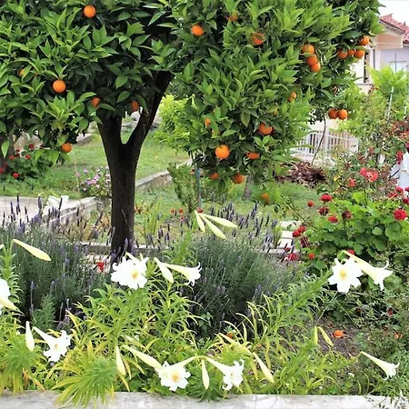 αρχοντικό της ευτυχίας 1 Villa